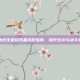 绝地求生最佳装备搭配指南，提升生存与战斗效率