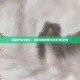 瑶族文化演变，从传统到现代的视觉之旅