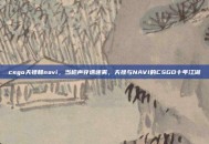csgo天禄和navi，当枪声穿透迷雾，天禄与NAVI的CSGO十年江湖