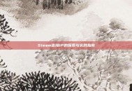 Steam连接IP的探索与实践指南