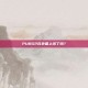 PUBG2在外国上线了吗？