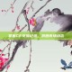 掌握CF交易记录，洞悉市场动态