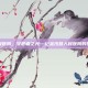 金沙县人民医院，守护者之光—记金沙县人民医院的仁心与担当