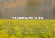 安全可靠的PUBG交易平台推荐