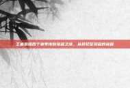 王者荣耀四个赛季皮肤珍藏之旅，从初见至珍藏的旅程