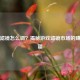 PUBG滤镜怎么调？揭秘游戏滤镜市场的赚钱秘籍