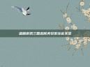 盗版游戏三国志民夫引发社会关注