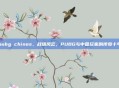 pubg chines，战场风云，PUBG与中国玩家的传奇十年