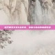 和平精英辛哥9杀传奇，荣耀与挑战的巅峰对决