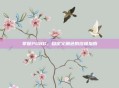 掌握PUBG，自定义角色的终极指南