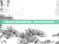 英雄联盟手游新任务翻译揭秘,探索游戏文化的新维度