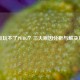 热点玩不了PUBG？三大原因分析与解决方案
