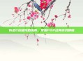 侍道2终极攻略指南,掌握PSP经典游戏精髓