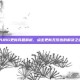 PUBG更新问题解析，点击更新无反应的解决之道