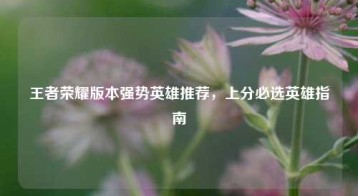 王者荣耀版本强势英雄推荐，上分必选英雄指南