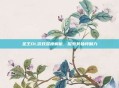 圣王OL游戏深度解析，探索其独特魅力