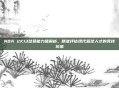 NBA 2K13球员能力值解析,精准评估现代篮球人才的竞技价值
