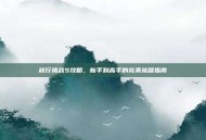 旅行挑战S攻略，新手到高手的完美旅程指南