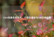 CSGO完美会员名片，个性化展示与CDK兑换指南