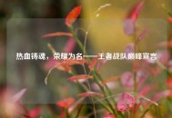 热血铸魂，荣耀为名——王者战队巅峰宣言