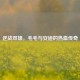 逆战双雄，毛毛与安迪的热血传奇
