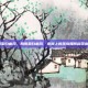 局限型白癜风，局限型白癜风，皮肤上的孤岛如何科学应对？