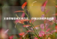 王者荣耀音响关闭方法，3步解决游戏声音问题