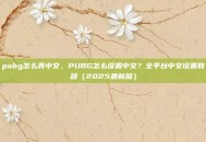 pubg怎么弄中文，PUBG怎么设置中文？全平台中文设置教程（2025最新版）