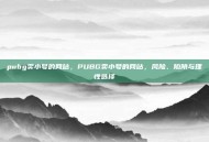 pubg卖小号的网站，PUBG卖小号的网站，风险、陷阱与理性选择