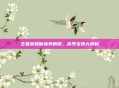 王者荣耀新境界解锁，高等宝物大揭秘