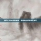 提升CSGO游戏体验，掌握高效打字聊天技巧
