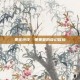 果宝特攻，果果堂的奇幻冒险