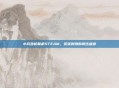 小兵步枪联机STEAM，紧张刺激的射击盛宴
