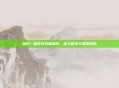 暗影一直存在攻略指南,深入探索与策略应用
