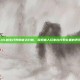 LOL盲生打野的优劣分析，探索盲人玩家在打野位置的表现