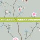 CSGO录屏技巧，从基础到高级的全面指南