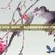 CSGO M4A1，从经典到传奇的进化之路