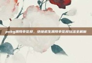 pubg滑翔伞花样，绝地求生滑翔伞花样玩法全解析
