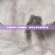 神话传说1.54隐藏版，揭开古老秘密的序幕