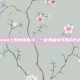Steam上的青春奋斗，一位热血女孩的成长故事