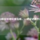 CS:GO语音按键设置指南，一键说话操作详解