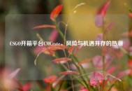 CSGO开箱平台CMCrate，风险与机遇并存的热潮