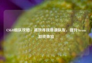 CSGO组队攻略，高效寻找靠谱队友，提升Steam游戏体验