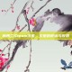 新西兰Steam饥荒，灾难的教训与反思