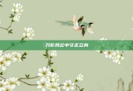刀影风云中守正立身