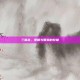 三国杀，策略与智慧的较量