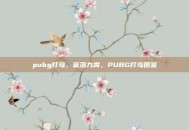 pubg打鸟，雀落九霄，PUBG打鸟图鉴