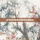 和平精英直播中跳舞的歌曲精选