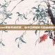Steam更新年龄政策，数字空间隐私与自由的新挑战