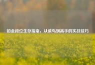 铂金段位生存指南，从菜鸟到高手的实战技巧